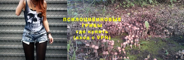 ГАЛЛЮЦИНОГЕННЫЕ ГРИБЫ Володарск
