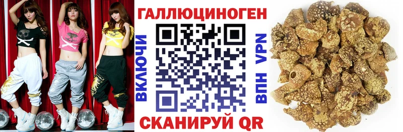где можно купить   Гагарин  Галлюциногенные грибы MAGIC MUSHROOMS 