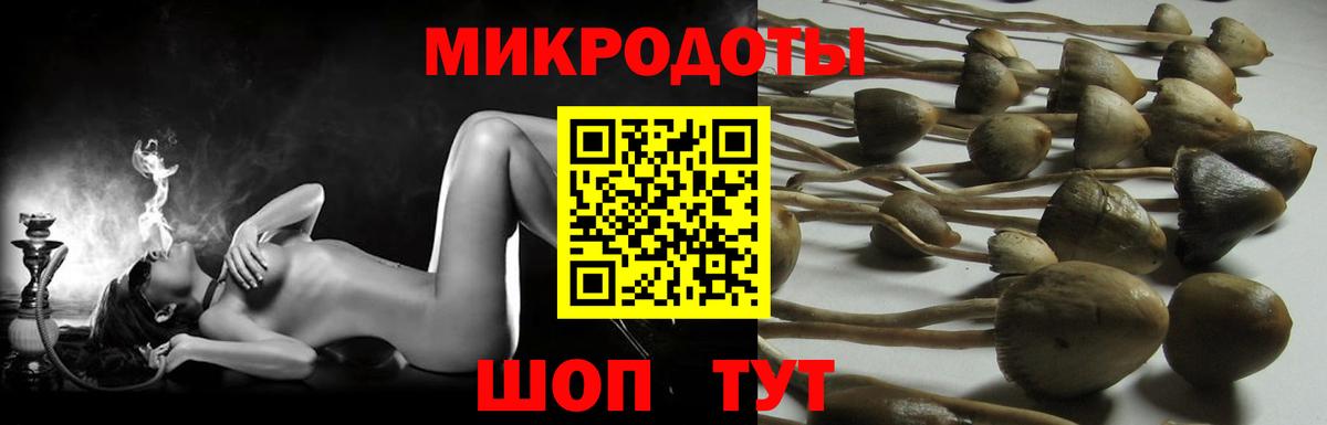 Галлюциногенные грибы ЛСД  Псилоцибиновые грибы MAGIC MUSHROOMS  Вход с VPN  Гагарин 